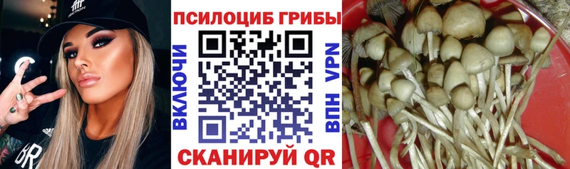 Псилоцибиновые грибы прущие грибы  Пестово 
